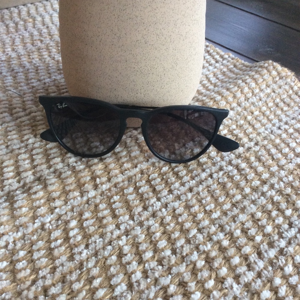 Ray Ban Erika Sunglasses